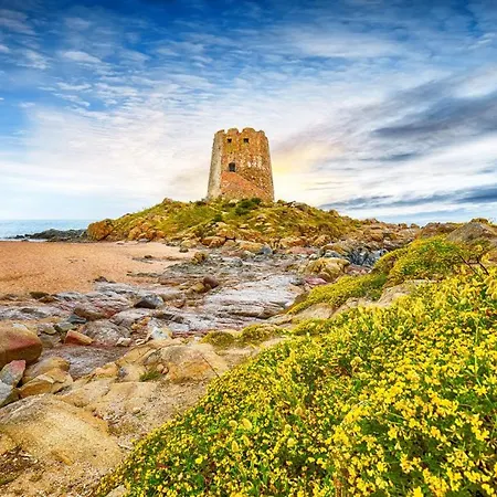 La Corte Azzurra باري ساردو